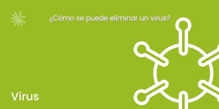 ¿Cómo se puede eliminar un virus?