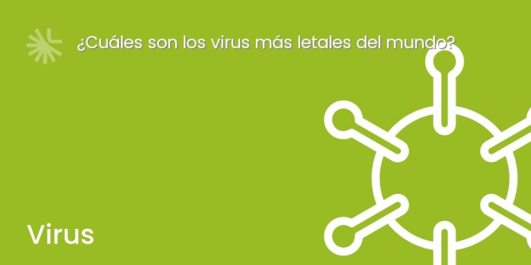 ¿Cuáles son los virus más letales del mundo?