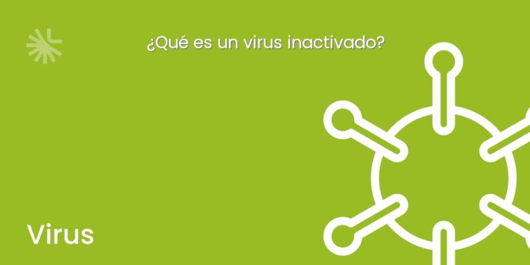 ¿Qué es un virus inactivado?